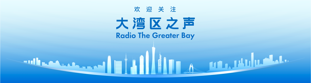 导盲兔AI智能伴侣服务无障碍观赛场景