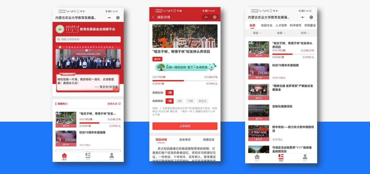 内农大教育发展基金会在线捐赠平台案例截图